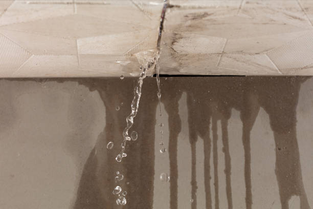 Professional Sewage Cleanup technician working in Forestburg, TX